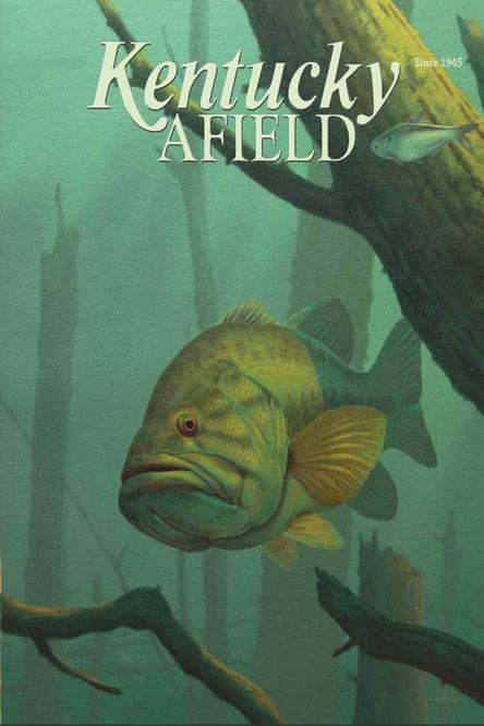 Kentucky Afield dizi afişi