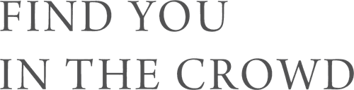 Find You in The Crowd logo