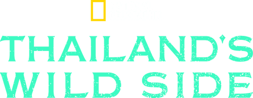 Thailand's Wild Side logo