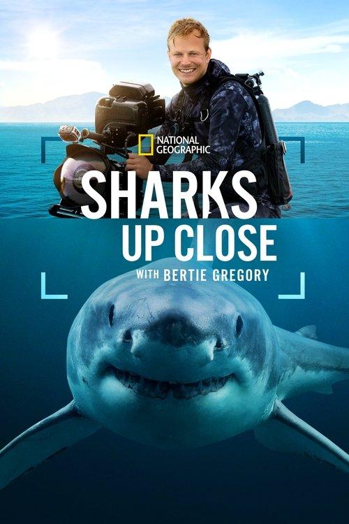 Sharks Up Close with Bertie Gregory film afişi