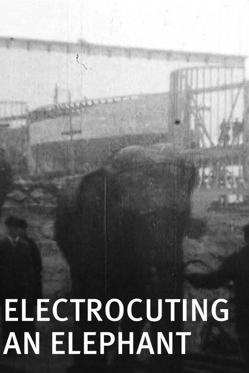 Electrocuting an Elephant film afişi