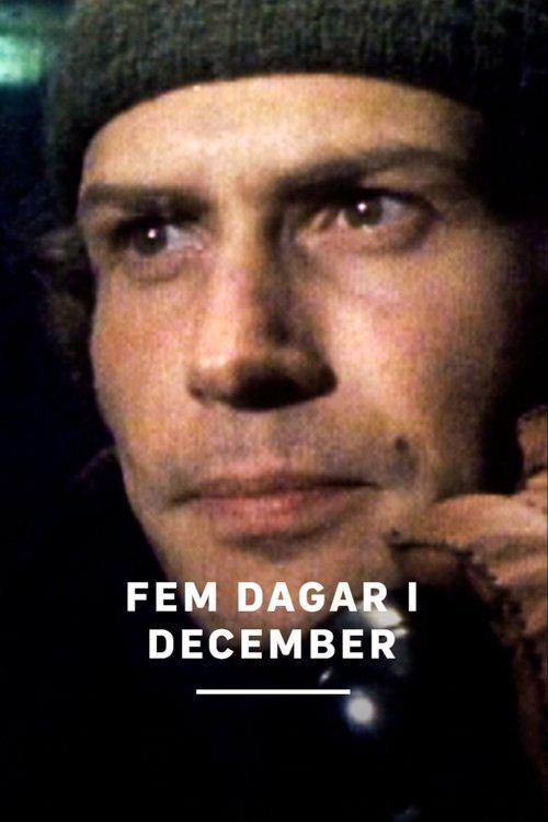 Fem dagar i december dizi afişi