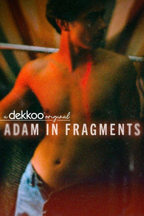 Adam in Fragments dizi afişi