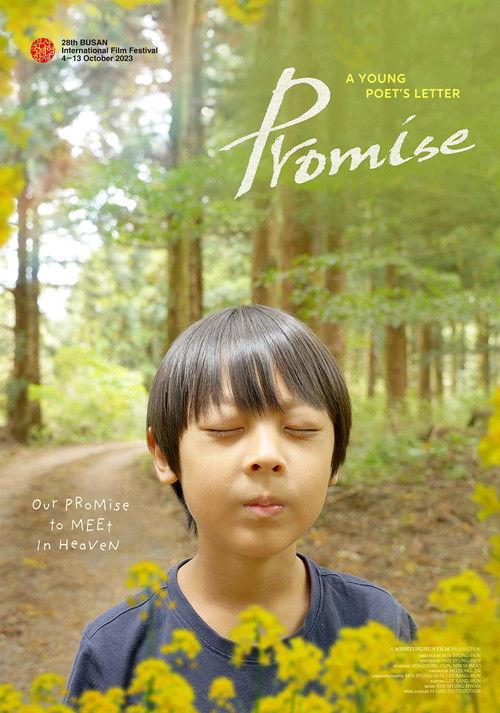 Promise film afişi