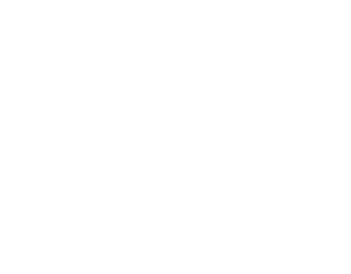 The Case of the Curious Bride logo