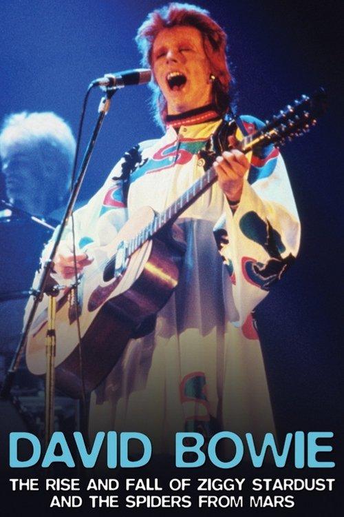 David Bowie: The Rise And Fall of Ziggy Stardust and the Spiders From Mars film afişi