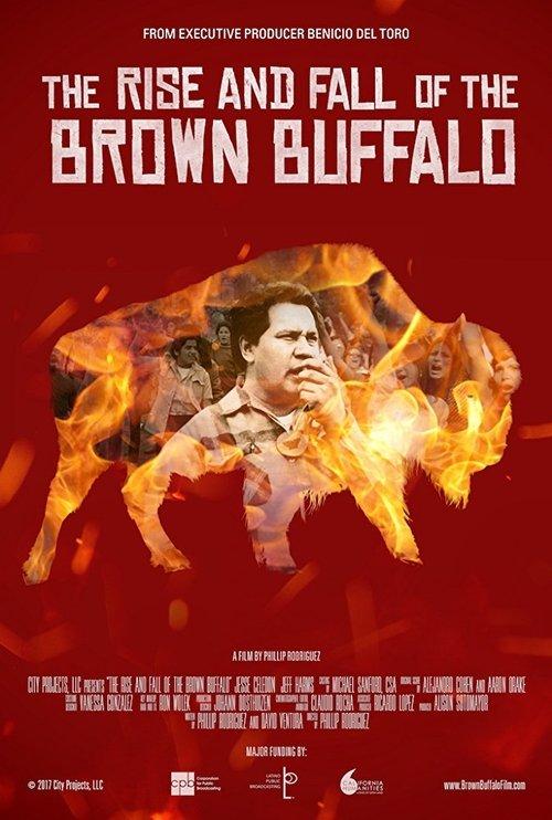 The Rise and Fall of the Brown Buffalo film afişi