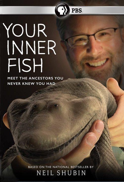 Your Inner Fish dizi afişi