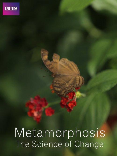 Metamorphosis: The Science of Change film afişi