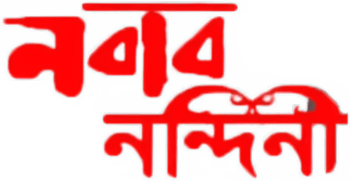 Nabab Nandini logo