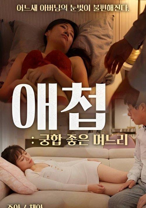 Concubine: Daughter-in-law With Good Compatibility film afişi