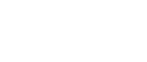 Light of My Lion logo