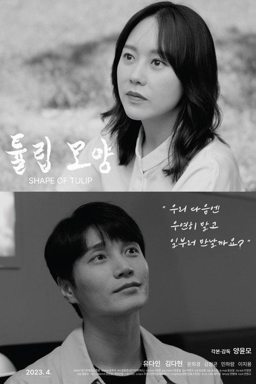 Shape of Tulip film afişi