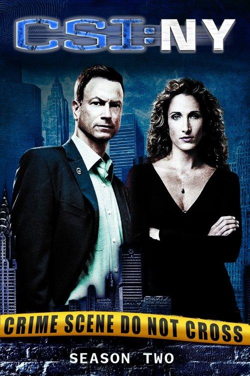 CSI: NY Sezon 2