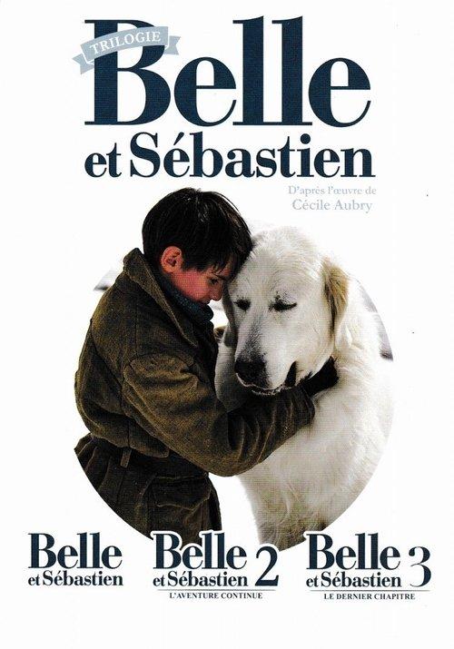 Belle & Sebastian Collection koleksiyon afişi