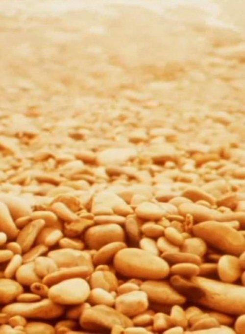 Notes for Jerome film afişi