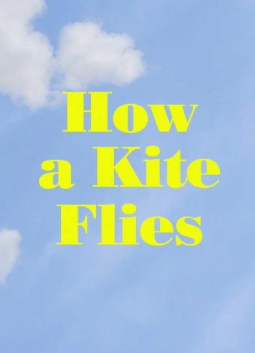 How a Kite Flies film afişi