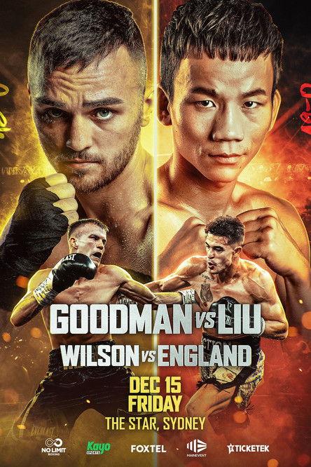 Sam Goodman vs. Zhong Liu film afişi