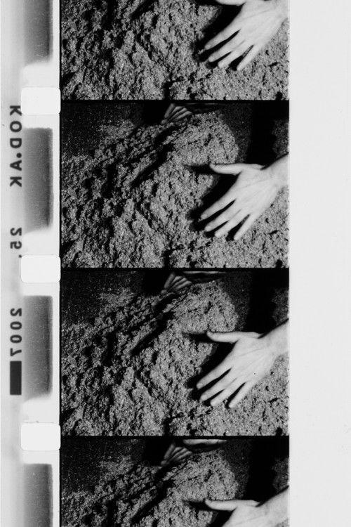 Hands Scraping film afişi