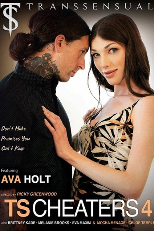 TS CHEATERS 4 film afişi