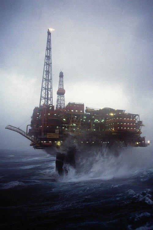 Wasted Windfall dizi afişi