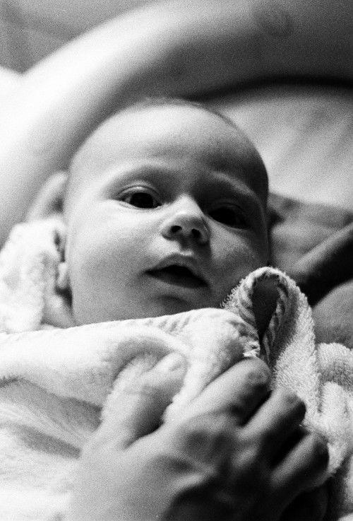 The Dormants film afişi