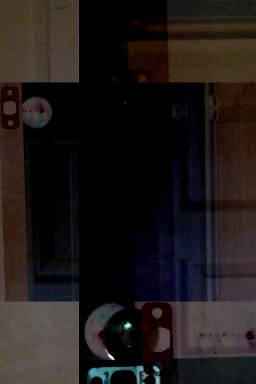 What Was It Supposed to Be Like? film afişi