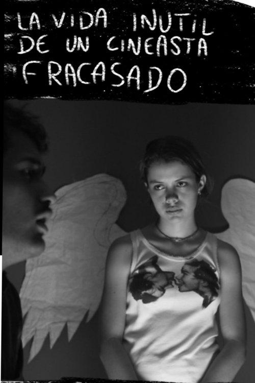 The useless life of a failed filmmaker film afişi