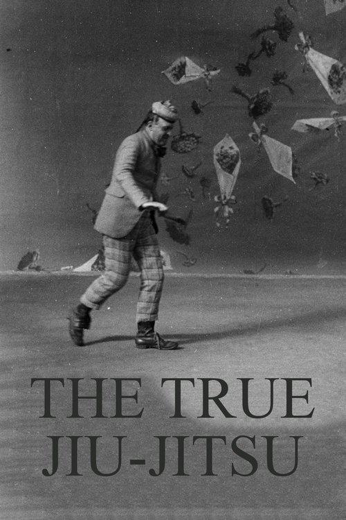 Dranem Performs The True Jiu-Jitsu film afişi