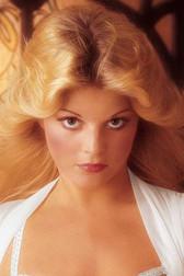 Daina House fotoğrafı