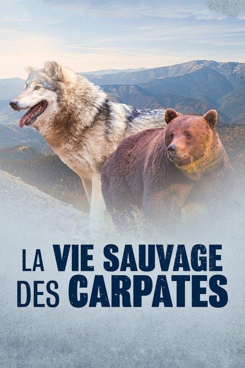 La Vie sauvage des Carpates film afişi