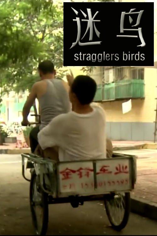 Stragglers Birds film afişi