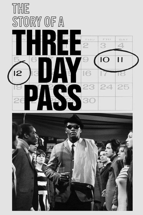 The Story of a Three-Day Pass film afişi