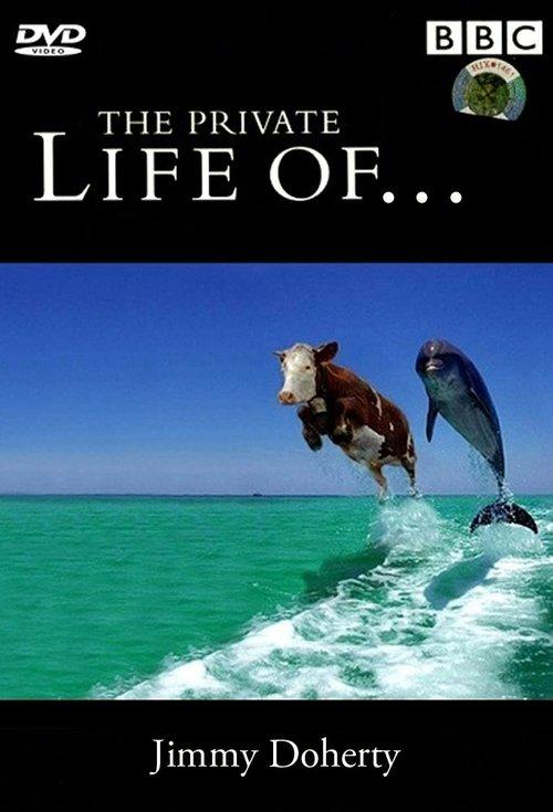 The Private Life of... dizi afişi