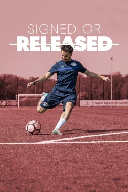 Signed or Released dizi afişi