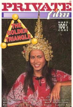 The Golden Triangle film afişi