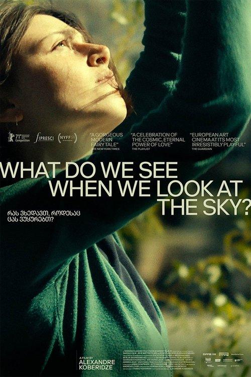 What Do We See When We Look at the Sky? film afişi
