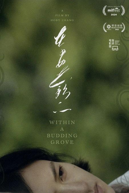 Within a Budding Grove film afişi