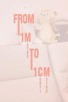 From 1 metre to 1 centimetre dizi afişi