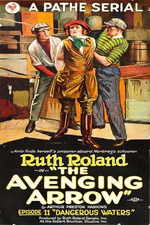 The Avenging Arrow film afişi
