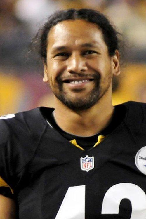 Troy Polamalu fotoğrafı