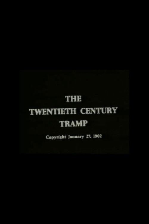 The Twentieth Century Tramp; or, Happy Hooligan and His Airship film afişi