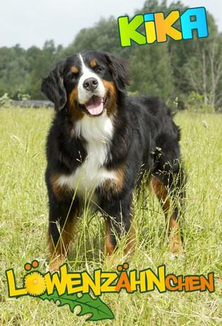 Löwenzähnchen dizi afişi