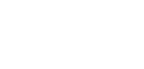 Iron Fists and Kung Fu Kicks logo