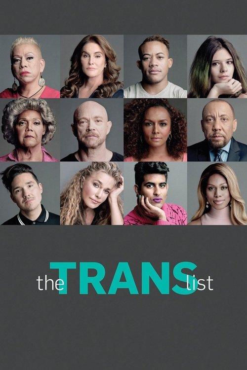 The Trans List film afişi