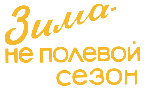 Winter is Not a Field Season logo