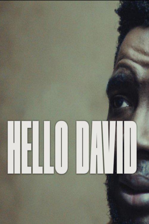 Hello David film afişi