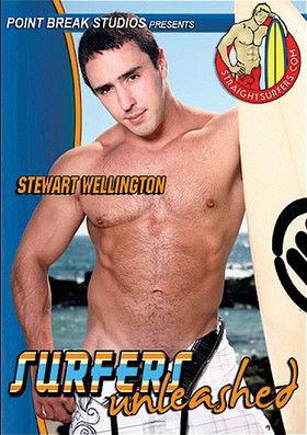 Surfers Unleashed film afişi