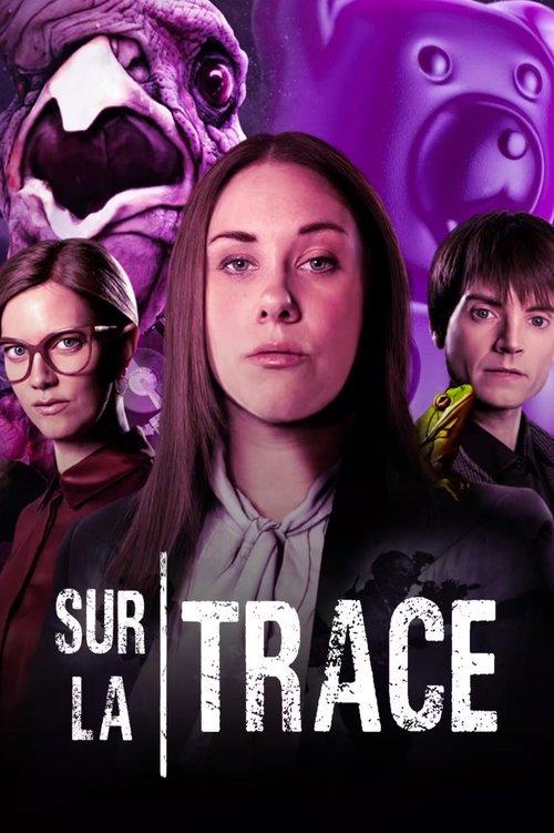 Sur la trace dizi afişi