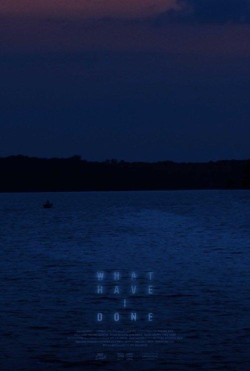 What Have I Done film afişi